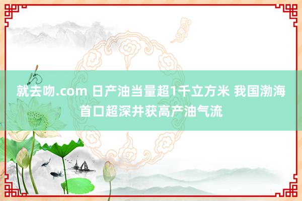 就去吻.com 日产油当量超1千立方米 我国渤海首口超深井获高产油气流