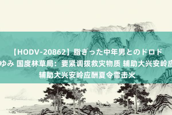 【HODV-20862】脂ぎった中年男とのドロドロ性交 望月あゆみ 国度林草局：要紧调拨救灾物质 辅助大兴安岭应酬夏令雷击火