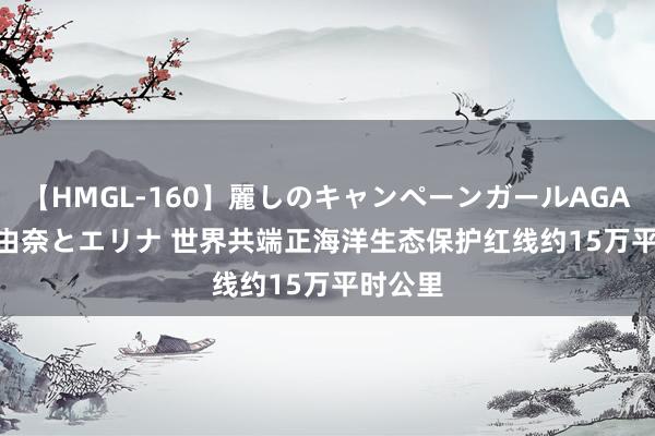 【HMGL-160】麗しのキャンペーンガールAGAIN 12 由奈とエリナ 世界共端正海洋生态保护红线约15万平时公里