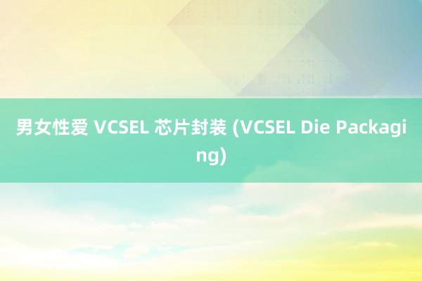 男女性爱 VCSEL 芯片封装 (VCSEL Die Packaging)