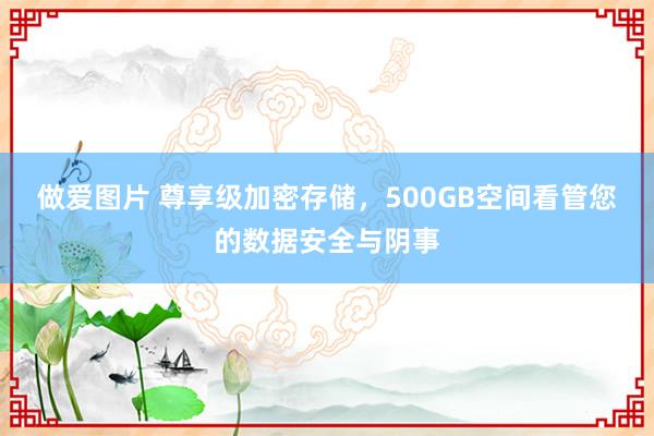 做爱图片 尊享级加密存储，500GB空间看管您的数据安全与阴事