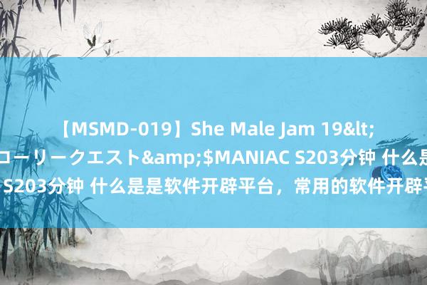 【MSMD-019】She Male Jam 19</a>2008-08-04グローリークエスト&$MANIAC S203分钟 什么是是软件开辟平台，常用的软件开辟平台有哪些？