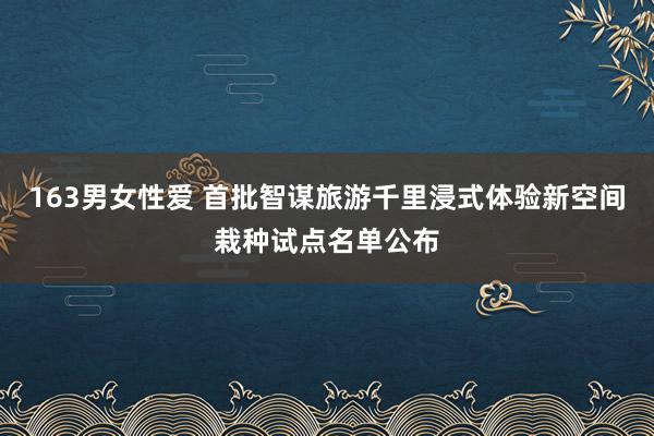 163男女性爱 首批智谋旅游千里浸式体验新空间栽种试点名单公布