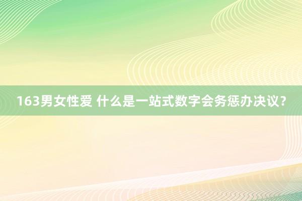 163男女性爱 什么是一站式数字会务惩办决议？