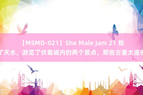 【MSMD-021】She Male Jam 21 我去了天水，游览了伏羲城内的两个景点，那些古董太邃密了