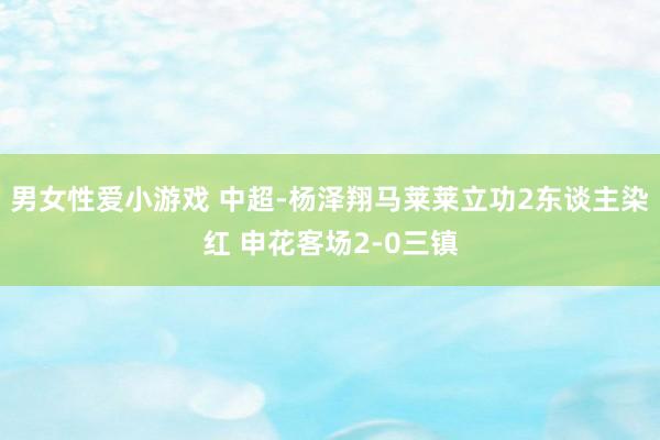 男女性爱小游戏 中超-杨泽翔马莱莱立功2东谈主染红 申花客场2-0三镇