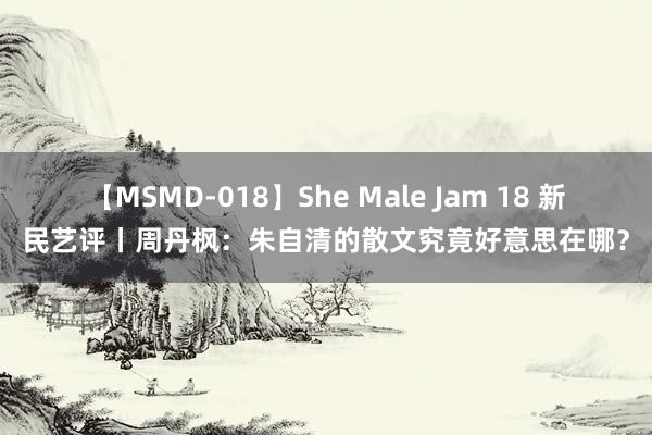 【MSMD-018】She Male Jam 18 新民艺评丨周丹枫：朱自清的散文究竟好意思在哪？