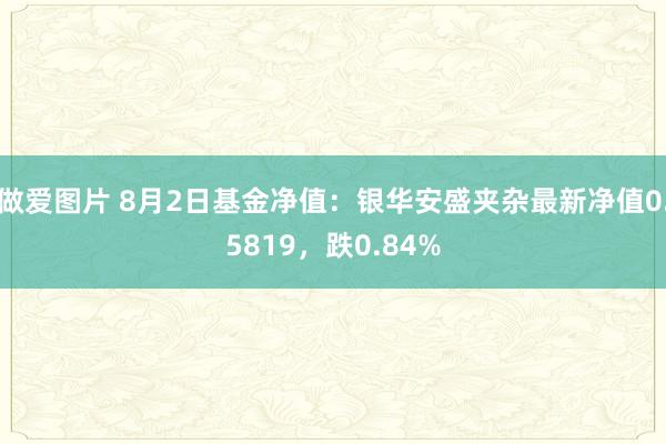 做爱图片 8月2日基金净值：银华安盛夹杂最新净值0.5819，跌0.84%