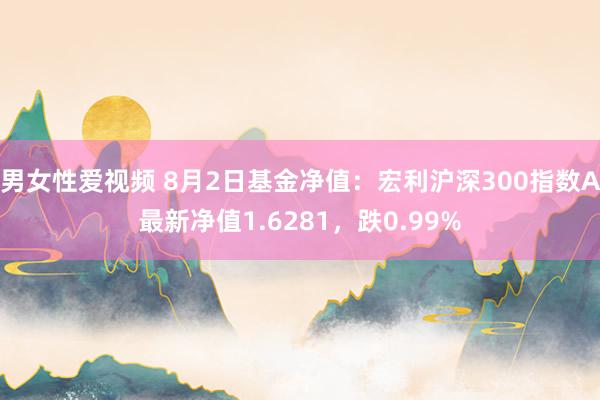 男女性爱视频 8月2日基金净值：宏利沪深300指数A最新净值1.6281，跌0.99%