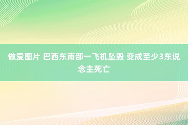 做爱图片 巴西东南部一飞机坠毁 变成至少3东说念主死亡