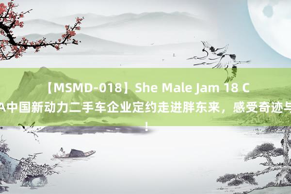 【MSMD-018】She Male Jam 18 CNUA中国新动力二手车企业定约走进胖东来，感受奇迹与爱！