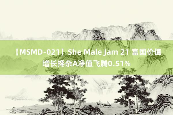 【MSMD-021】She Male Jam 21 富国价值增长搀杂A净值飞腾0.51%