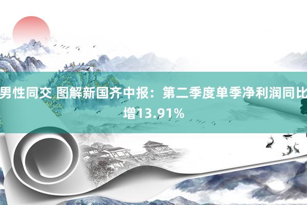 男性同交 图解新国齐中报：第二季度单季净利润同比增13.91%