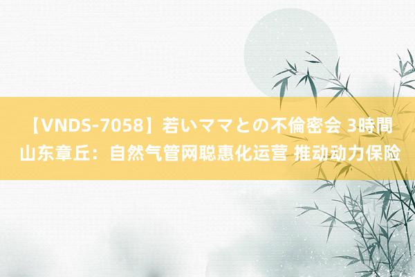 【VNDS-7058】若いママとの不倫密会 3時間 山东章丘：自然气管网聪惠化运营 推动动力保险