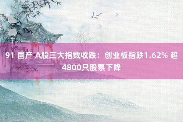 91 国产 A股三大指数收跌：创业板指跌1.62% 超4800只股票下降