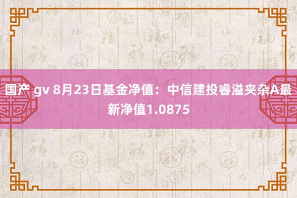 国产 gv 8月23日基金净值：中信建投睿溢夹杂A最新净值1.0875