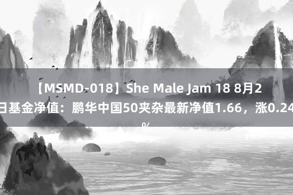 【MSMD-018】She Male Jam 18 8月23日基金净值：鹏华中国50夹杂最新净值1.66，涨0.24%