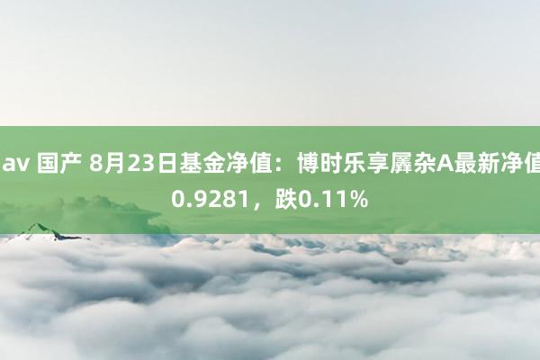 jav 国产 8月23日基金净值：博时乐享羼杂A最新净值0.9281，跌0.11%