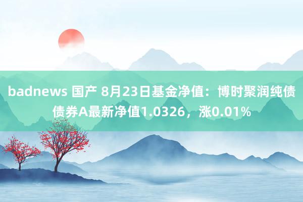 badnews 国产 8月23日基金净值：博时聚润纯债债券A最新净值1.0326，涨0.01%