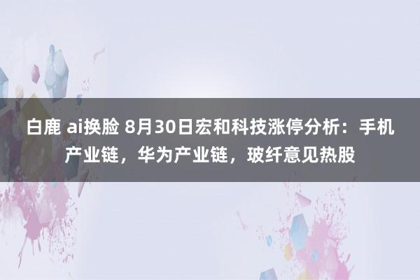 白鹿 ai换脸 8月30日宏和科技涨停分析：手机产业链，华为产业链，玻纤意见热股