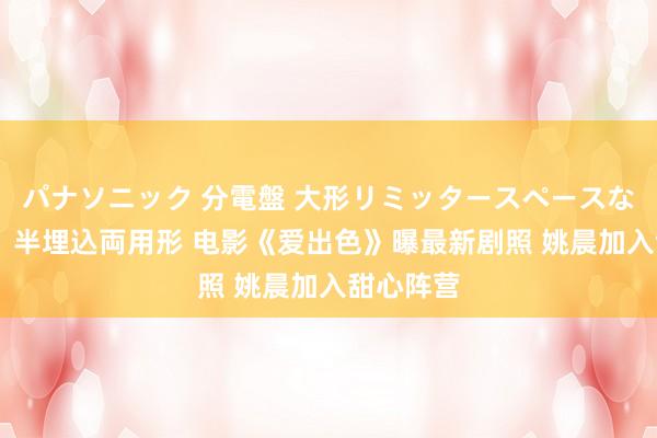 パナソニック 分電盤 大形リミッタースペースなし 露出・半埋込両用形 电影《爱出色》曝最新剧照 姚晨加入甜心阵营