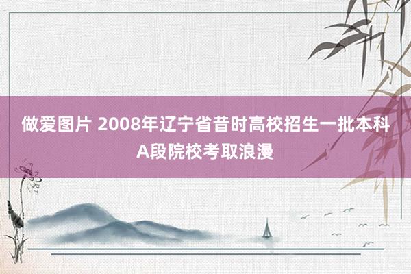 做爱图片 2008年辽宁省昔时高校招生一批本科A段院校考取浪漫