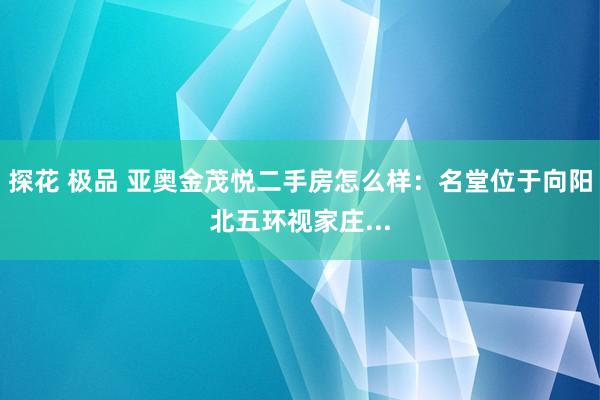 探花 极品 亚奥金茂悦二手房怎么样：名堂位于向阳北五环视家庄...