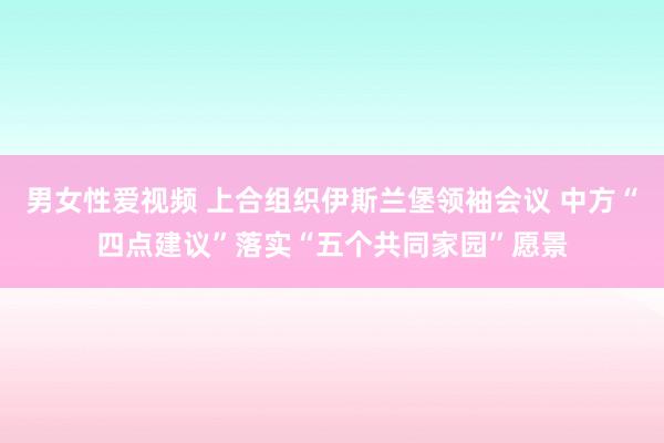 男女性爱视频 上合组织伊斯兰堡领袖会议 中方“四点建议”落实“五个共同家园”愿景