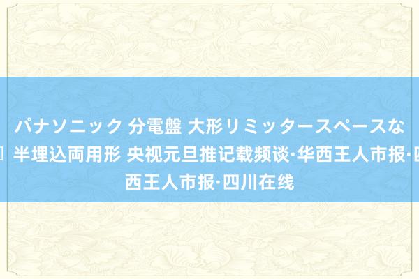 パナソニック 分電盤 大形リミッタースペースなし 露出・半埋込両用形 央视元旦推记载频谈·华西王人市报·四川在线